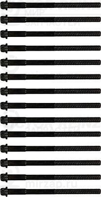 Комплект болтов головки цилидра VICTOR REINZ 143200101