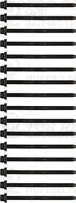 Комплект болтов головки цилидра VICTOR REINZ 143217101