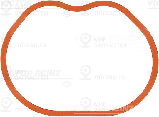 Прокладка, впускной коллектор VICTOR REINZ 713553300
