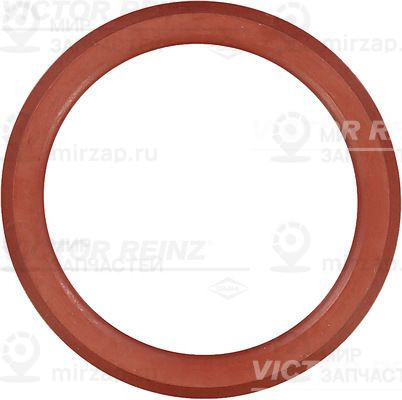 Прокладка, крышка головки цилиндра VICTOR REINZ 713855200