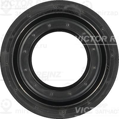 Уплотняющее кольцо, распределительный вал VICTOR REINZ 813119300