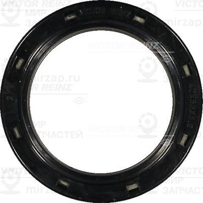 Запчасть VICTOR REINZ 813445410