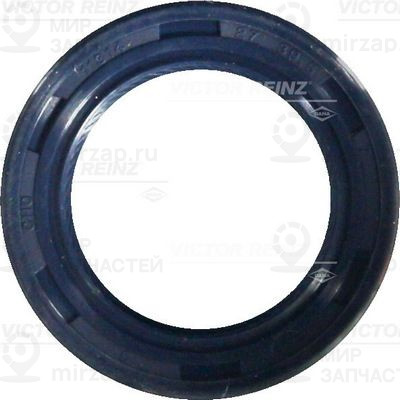 Запчасть VICTOR REINZ 813673900