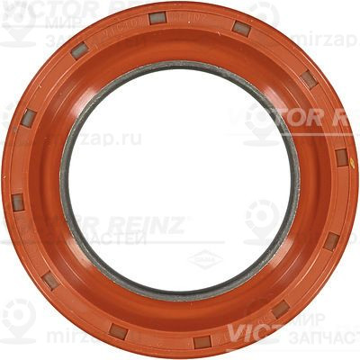 Запчасть VICTOR REINZ 813760100