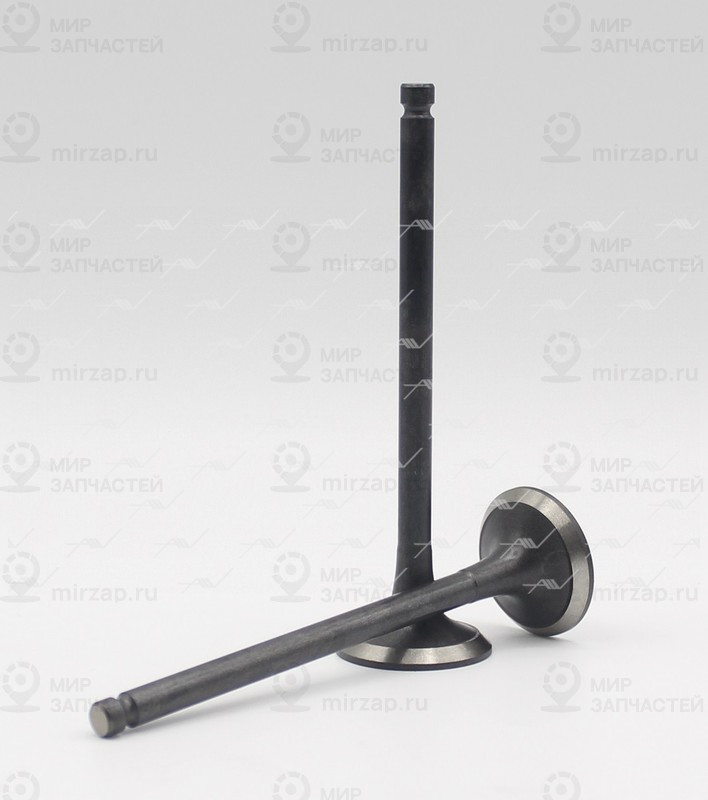 Запчасть AUTOWELT VE32010