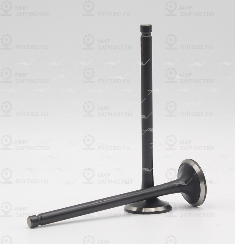 Запчасть AUTOWELT VE35000