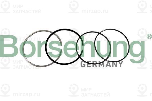 Запчасть Borsehung B10371