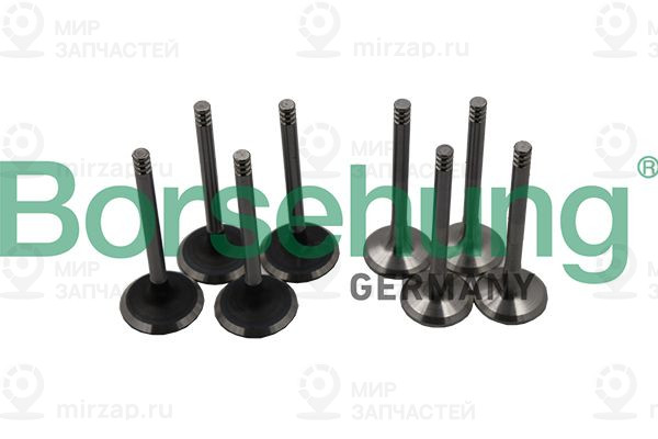 Запчасть Borsehung B18640