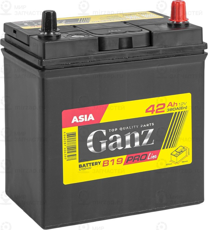 Запчасть GANZ G1130420