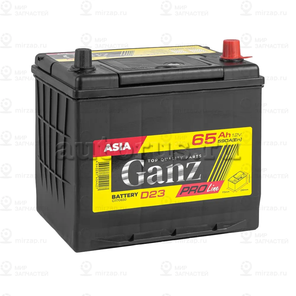 Запчасть GANZ G1170650