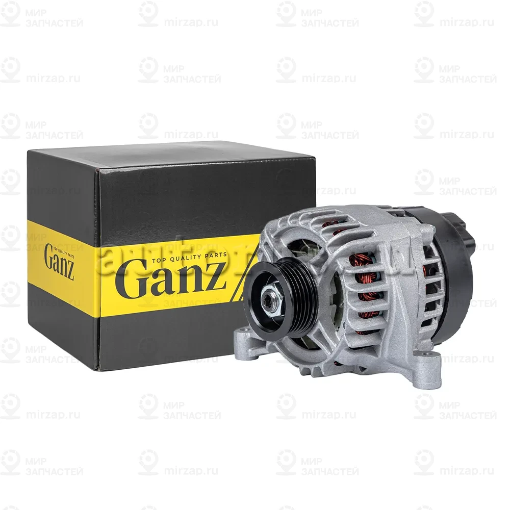 Запчасть GANZ GIP13022