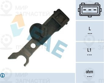 Запчасть FAE 79166
