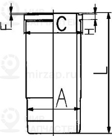 Ремонтный комплект, поршень / гильза цилиндра KOLBENSCHMIDT 40255960