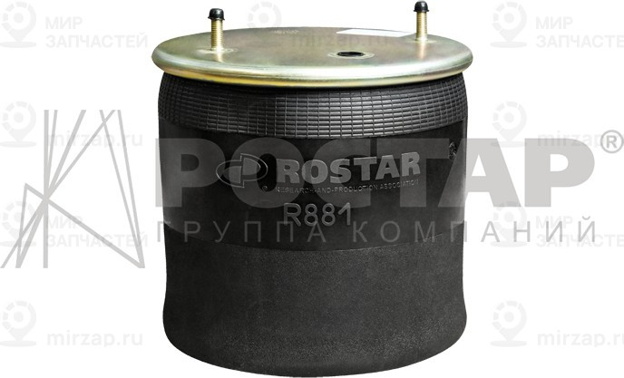 Запчасть ROSTAR R881DGS30