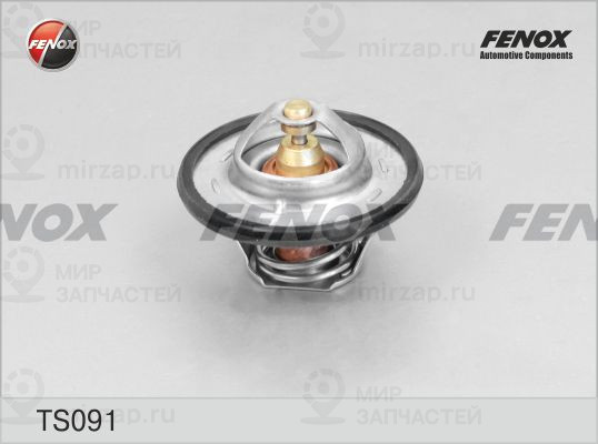 Термостат, охлаждающая жидкость FENOX TS091