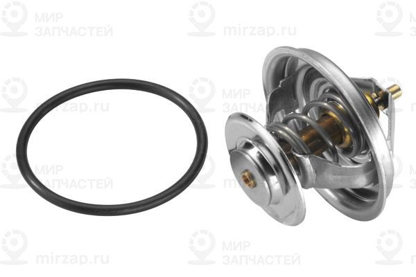 Термостат, охлаждающая жидкость BorgWarner 410579D