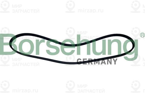 Запчасть Borsehung B12503