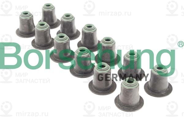 Уплотнительное кольцо, стержень клапана Borsehung B12507