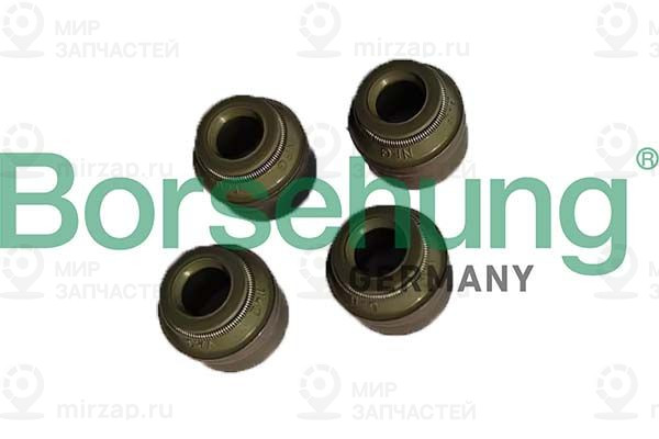 Уплотнительное кольцо, стержень клапана Borsehung B12535