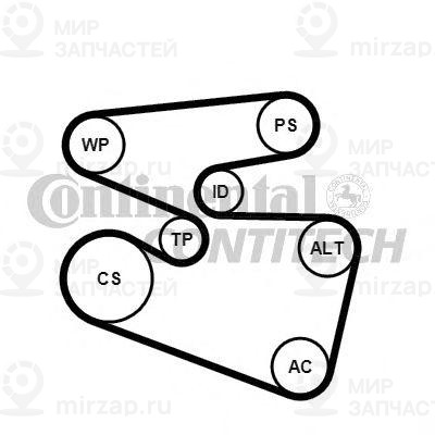 Запчасть Continental 6PK1555K3