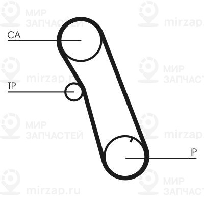 Ремень зубчатый Continental CT616