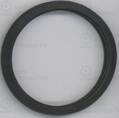 Уплотнительное кольцо ELRING 027450