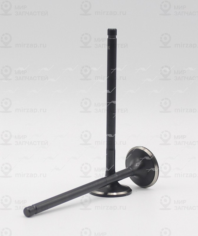 Запчасть AUTOWELT VE31016