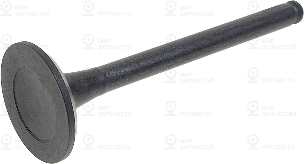 Запчасть AUTOWELT VE32003