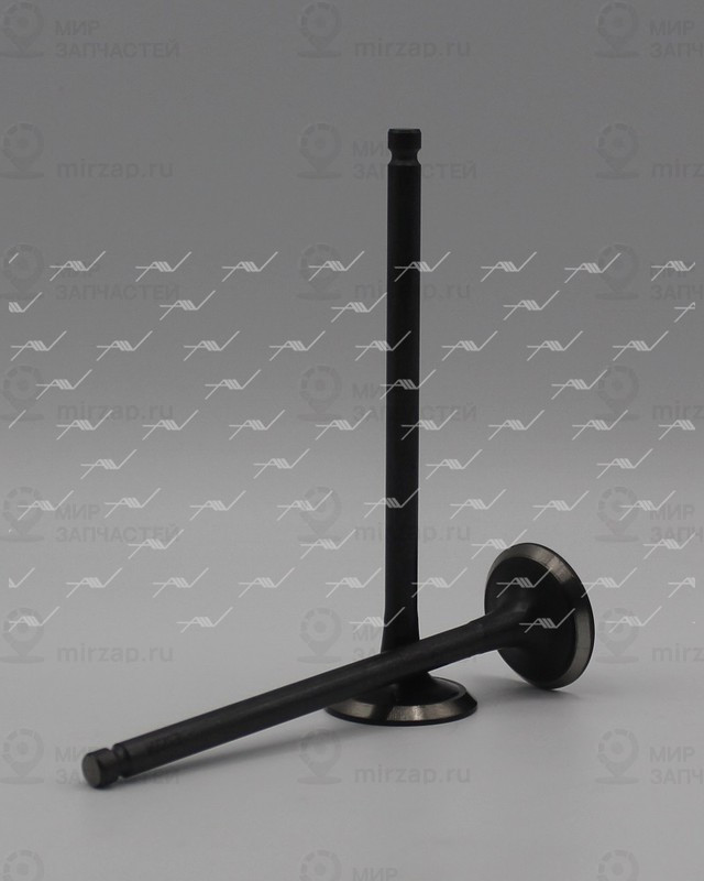 Запчасть AUTOWELT VE32004