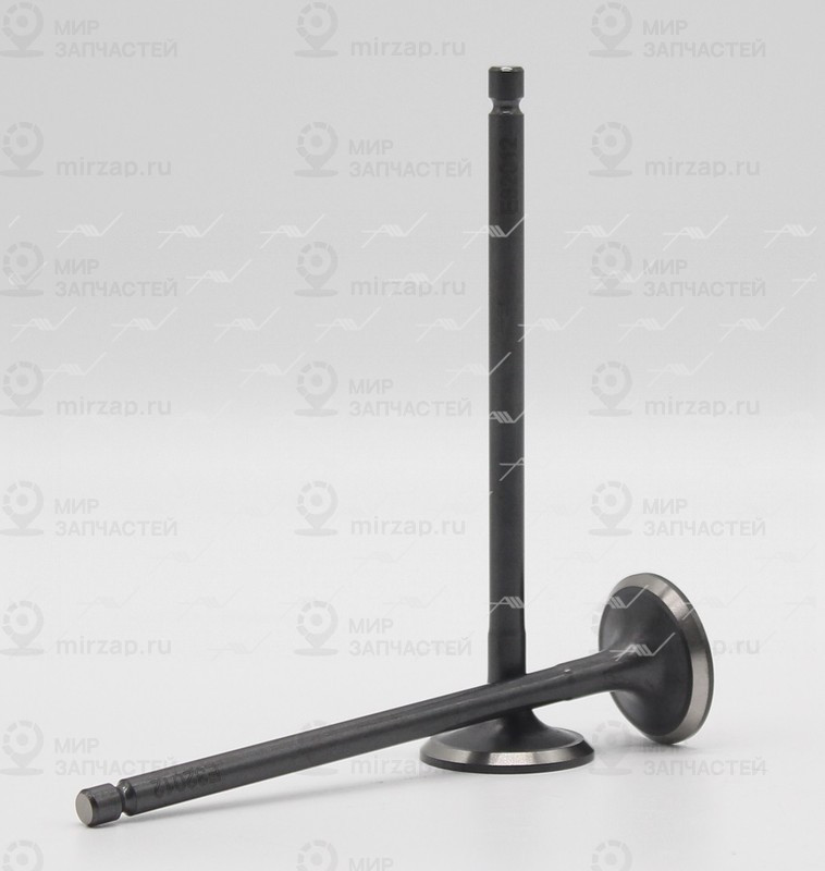 Запчасть AUTOWELT VE32012