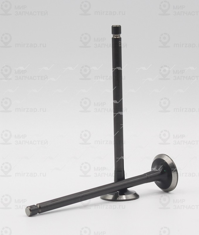 Запчасть AUTOWELT VE33020