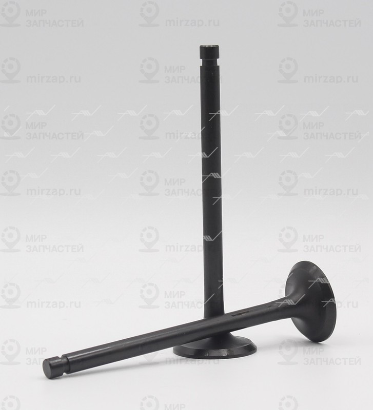 Запчасть AUTOWELT VE33021