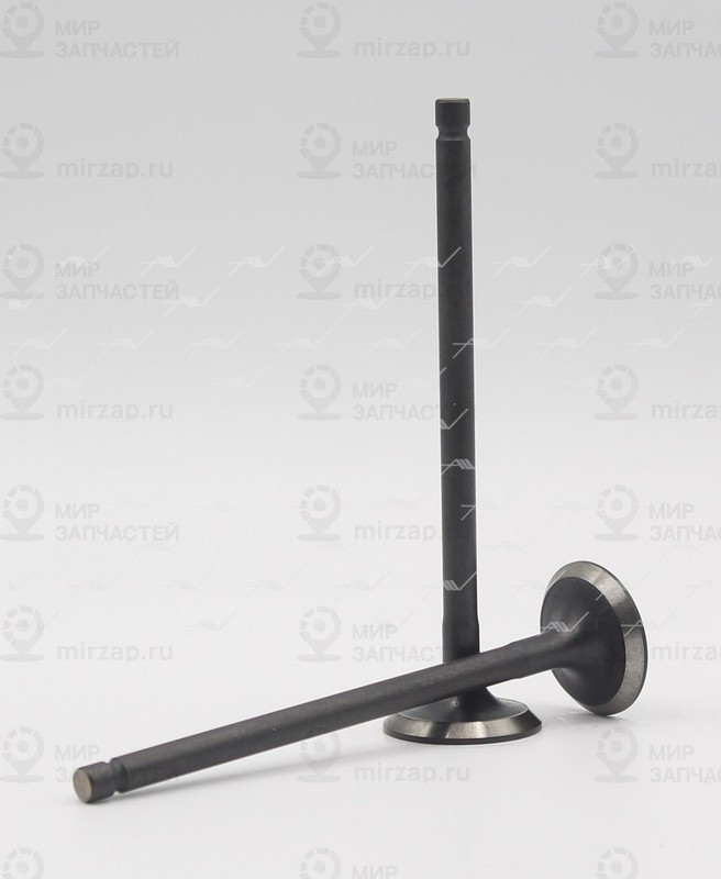 Запчасть AUTOWELT VE37007