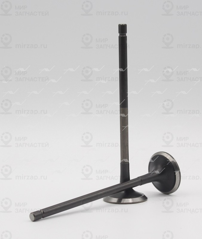 Запчасть AUTOWELT VE40001