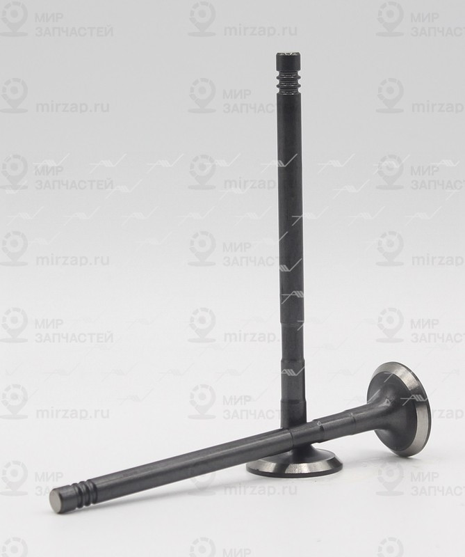 Запчасть AUTOWELT VE54008