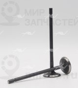 Запчасть AUTOWELT VE57000