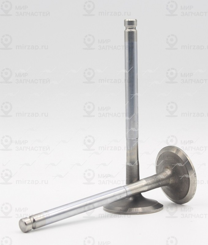 Запчасть AUTOWELT VE80000