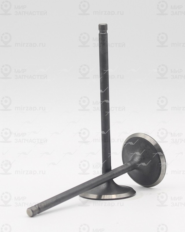 Запчасть AUTOWELT VI31018