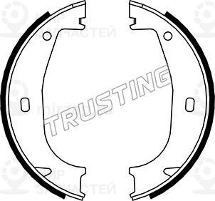 Запчасть TRUSTING 019026