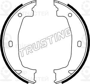 Запчасть TRUSTING 019028