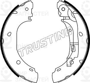 Запчасть TRUSTING 034106