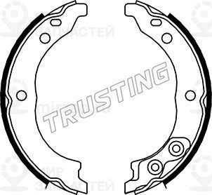 Запчасть TRUSTING 034113