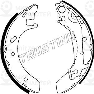 Запчасть TRUSTING 040137