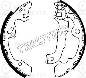 Запчасть TRUSTING 040146