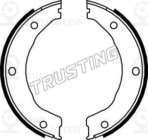 Комплект тормозных колодок, стояночная тормозная система TRUSTING 040158