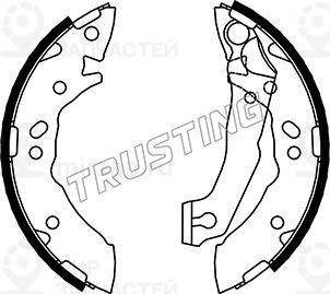 Запчасть TRUSTING 046204