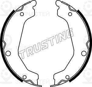 Комплект тормозных колодок, стояночная тормозная система TRUSTING 046219