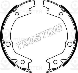 Комплект тормозных колодок, стояночная тормозная система TRUSTING 046220