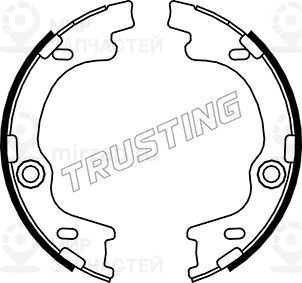 Запчасть TRUSTING 046221