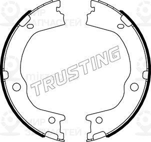 Запчасть TRUSTING 046227